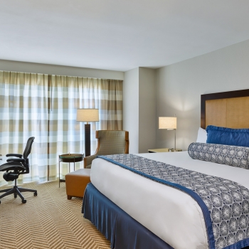 Standard King Guest Room