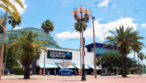 Tampa, Florida, Aquarium, Westshore Grand, Luxury, Hotel, Accommodations