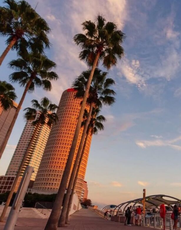 Tall palm trees line a waterfront near Westshore Grand Hotel, with modern skyscrapers glowing under a colorful, partly cloudy sunset sky.
